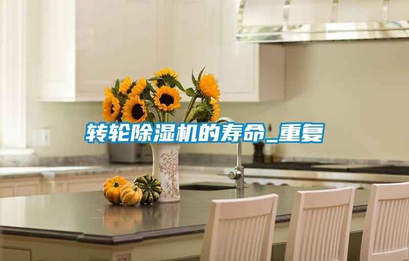 欧美黄色电影在线播放 转轮除湿机的寿命_重复