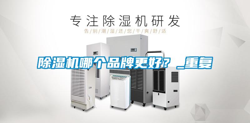 欧美黄色电影在线播放 除湿机哪个品牌更好？_重复