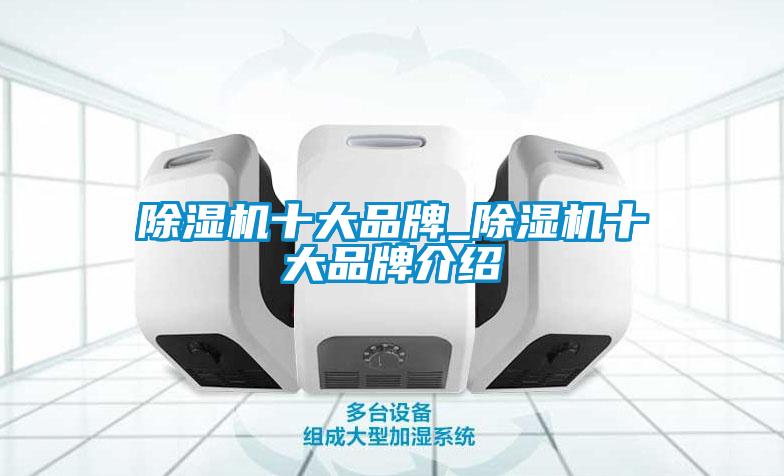 欧美黄色电影在线播放 除湿机十大品牌_除湿机十大品牌介绍