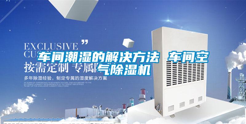欧美黄色性爱视频网站 车间潮湿的解决方法 车间空气除湿机