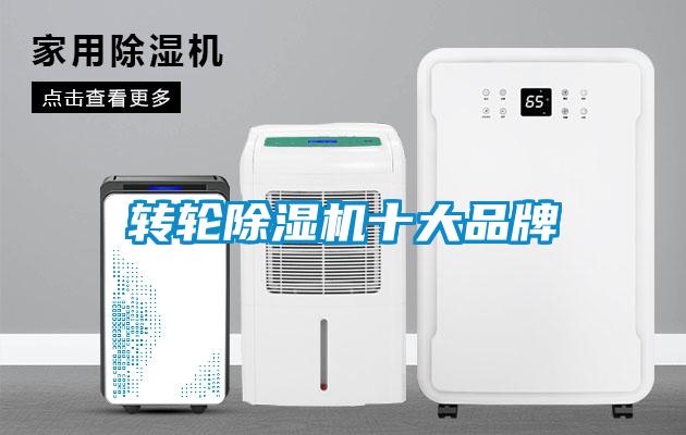 欧美黄色电影在线播放 转轮除湿机十大品牌