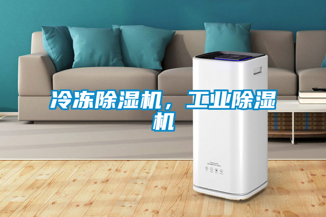 欧美黄色性爱视频网站 冷冻除湿机，工业除湿机