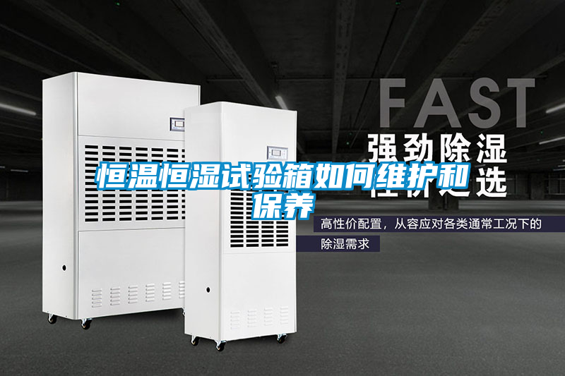 欧美黄色性爱视频网站 恒温恒湿试验箱如何维护和保养