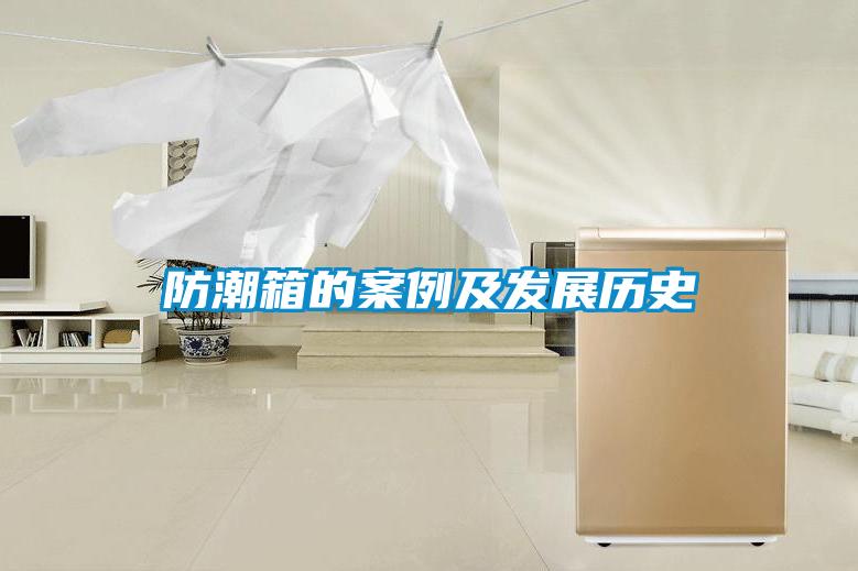欧美成色手机在线观看 防潮箱的案例及发展历史