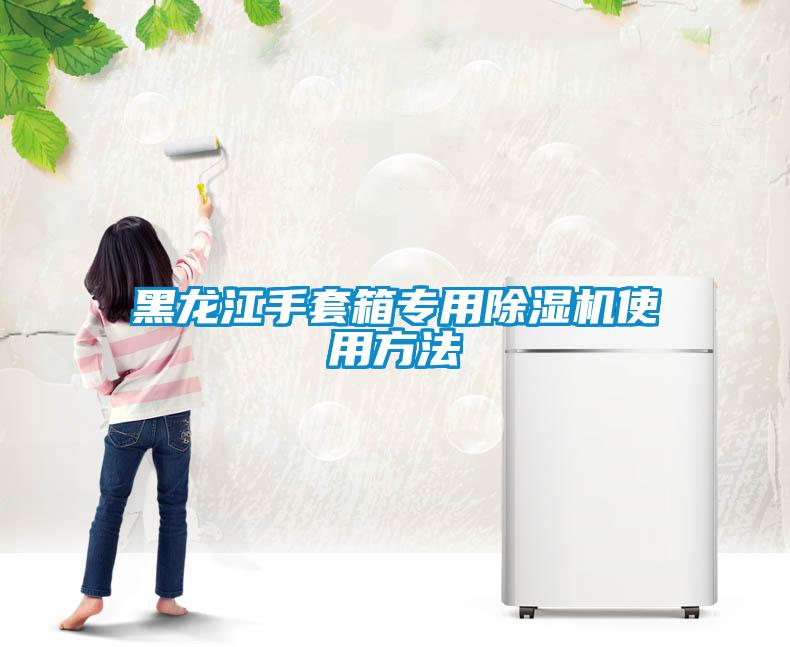 欧美黄色电影在线播放 黑龙江手套箱专用除湿机使用方法