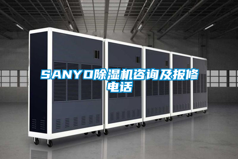 欧美黄色电影在线播放 SANYO除湿机咨询及报修电话