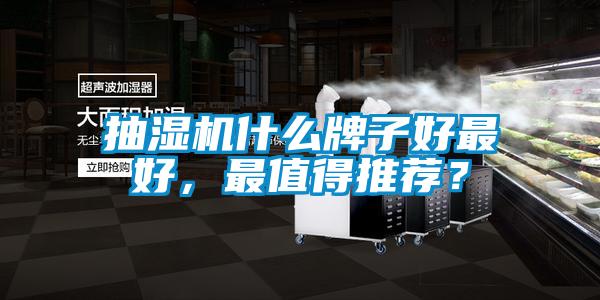 欧美黄色电影在线播放 抽湿机什么牌子好最好，最值得推荐？