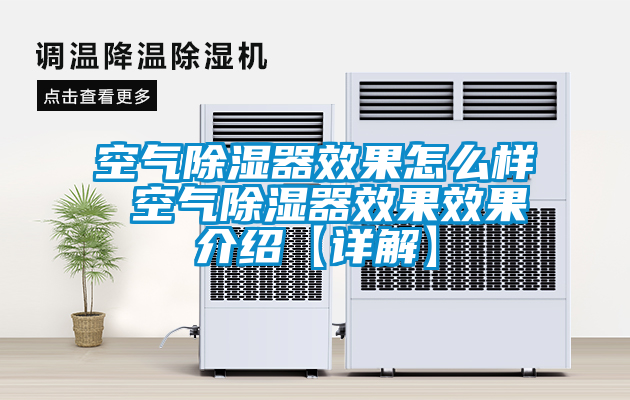 欧美黄色性爱视频网站 空气除湿器效果怎么样 空气除湿器效果效果介绍【详解】