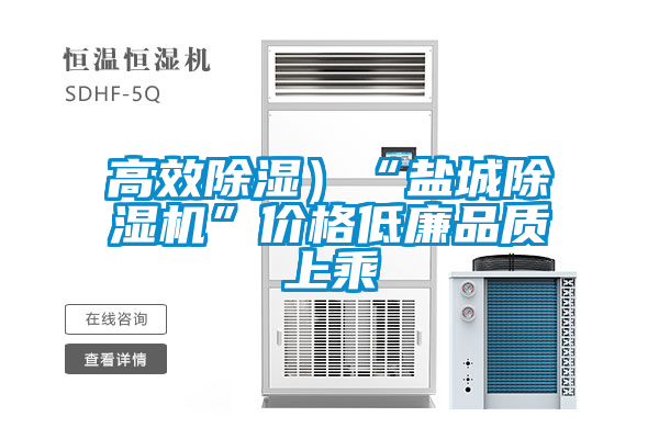 欧美黄色电影在线播放 高效除湿）“盐城除湿机”价格低廉品质上乘