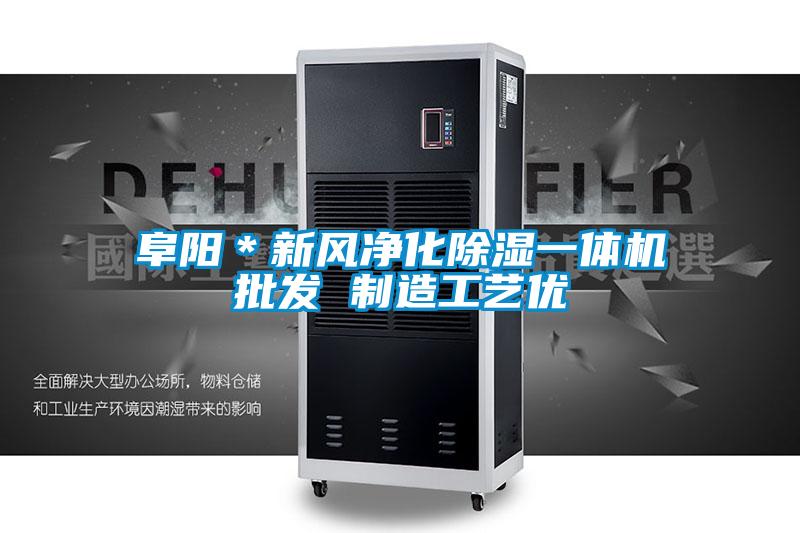 欧美成色手机在线观看 阜阳＊新风净化除湿一体机批发 制造工艺优