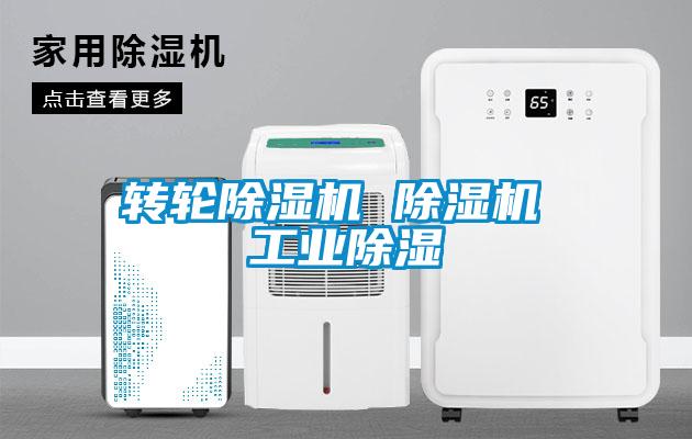 欧美黄色电影在线播放 转轮除湿机 除湿机 工业除湿