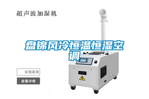 欧美黄色性爱视频网站 盘锦风冷恒温恒湿空调