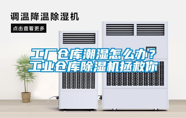 欧美黄色电影在线播放 工厂仓库潮湿怎么办？工业仓库除湿机拯救你