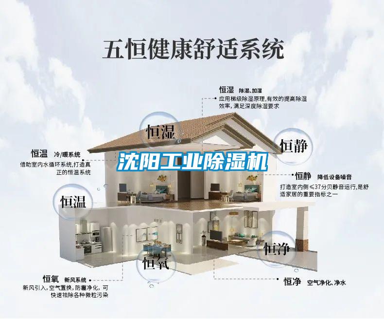 欧美成色手机在线观看 沈阳工业除湿机