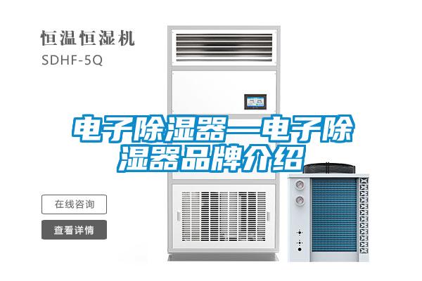 欧美成色手机在线观看 电子除湿器—电子除湿器品牌介绍