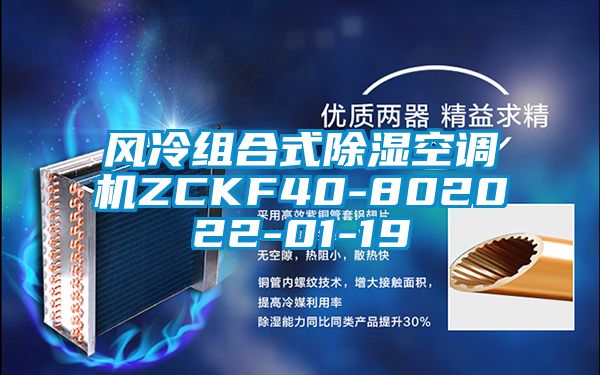 欧美黄色电影在线播放 风冷组合式除湿空调机ZCKF40-802022-01-19