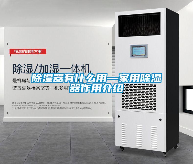 欧美黄色性爱视频网站 除湿器有什么用—家用除湿器作用介绍