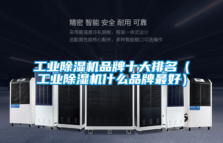 欧美黄色性爱视频网站 工业除湿机品牌十大排名（工业除湿机什么品牌最好）