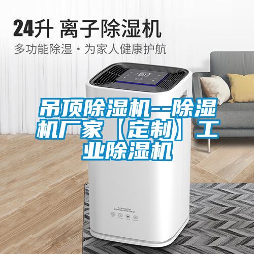 欧美黄色电影在线播放 吊顶除湿机--除湿机厂家【定制】工业除湿机