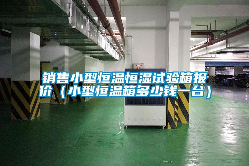 欧美黄色性爱视频网站 销售小型恒温恒湿试验箱报价（小型恒温箱多少钱一台）