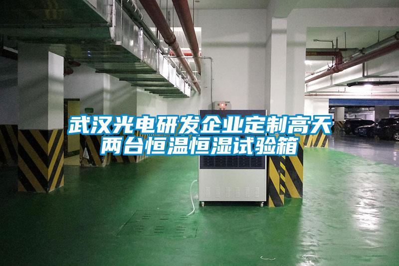欧美黄色电影在线播放 武汉光电研发企业定制高天两台恒温恒湿试验箱