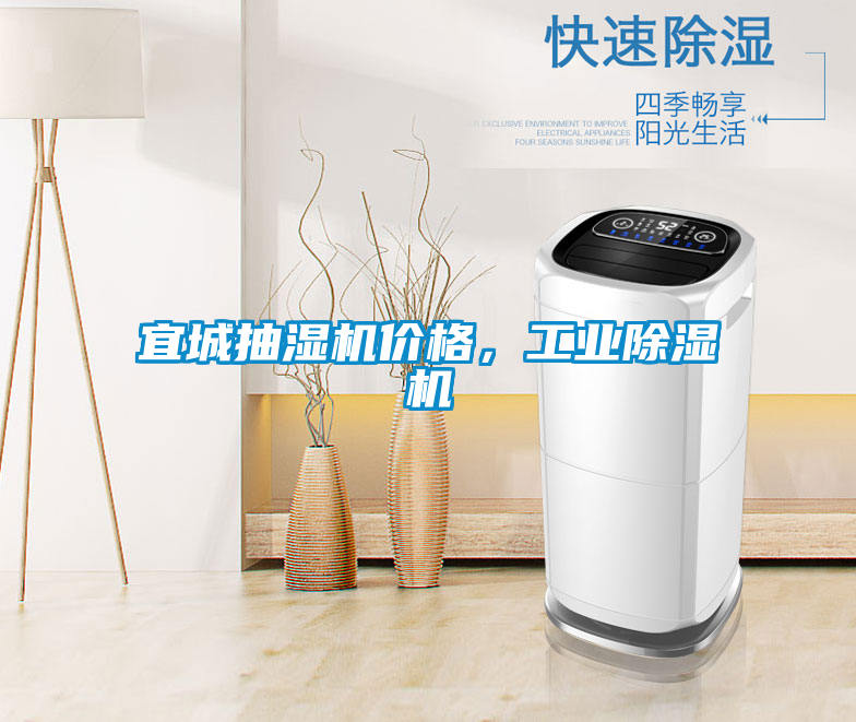 欧美成色手机在线观看 宜城抽湿机价格，工业除湿机