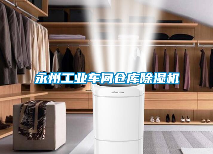 欧美黄色电影在线播放 永州工业车间仓库除湿机
