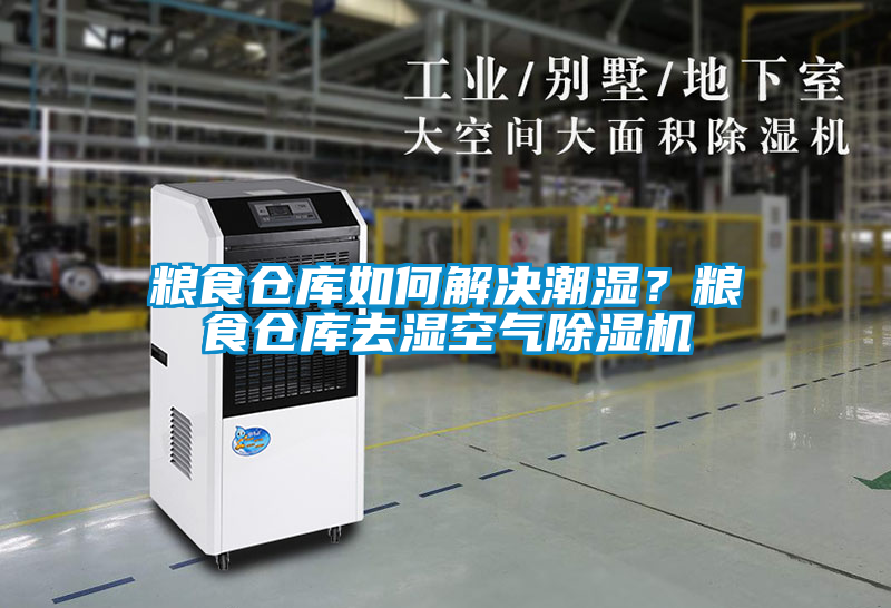 欧美黄色电影在线播放 粮食仓库如何解决潮湿？粮食仓库去湿空气除湿机
