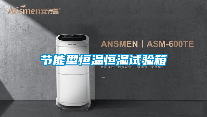 欧美黄色性爱视频网站 节能型恒温恒湿试验箱