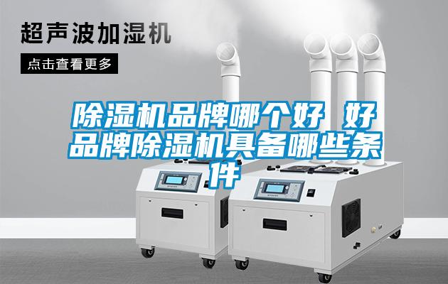 欧美黄色性爱视频网站 除湿机品牌哪个好 好品牌除湿机具备哪些条件