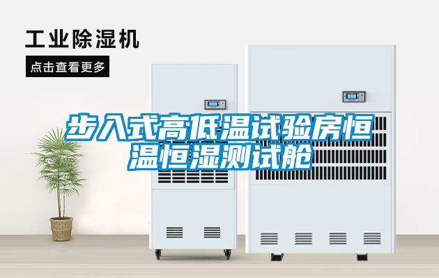 欧美黄色性爱视频网站 步入式高低温试验房恒温恒湿测试舱