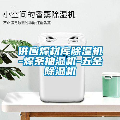 欧美黄色电影在线播放 供应焊材库除湿机-焊条抽湿机-五金除湿机