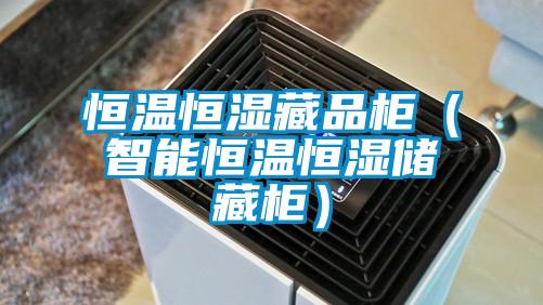 欧美黄色电影在线播放 恒温恒湿藏品柜（智能恒温恒湿储藏柜）