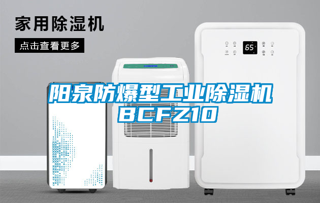 欧美黄色性爱视频网站 阳泉防爆型工业除湿机 BCFZ10