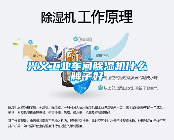 欧美黄色性爱视频网站 兴义工业车间除湿机什么牌子好