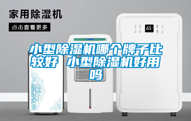 欧美黄色电影在线播放 小型除湿机哪个牌子比较好 小型除湿机好用吗