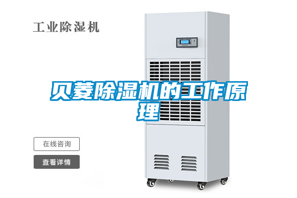 欧美成色手机在线观看 贝菱除湿机的工作原理