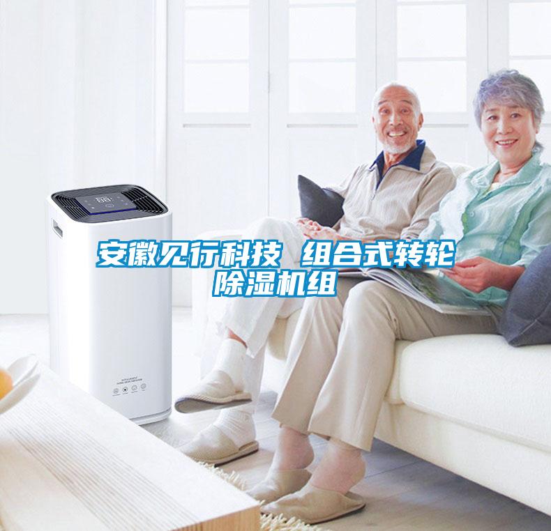 欧美黄色性爱视频网站 安徽见行科技 组合式转轮除湿机组