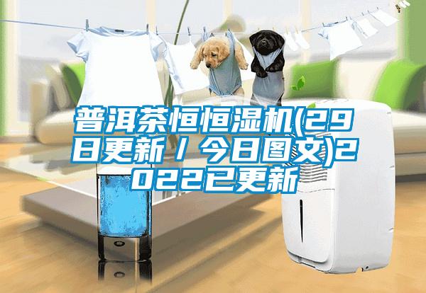 欧美黄色性爱视频网站 普洱茶恒恒湿机(29日更新／今日图文)2022已更新