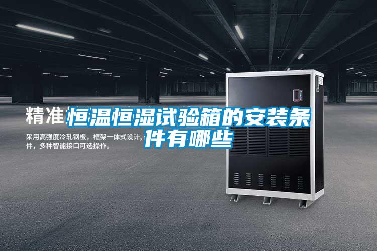 欧美黄色性爱视频网站 恒温恒湿试验箱的安装条件有哪些