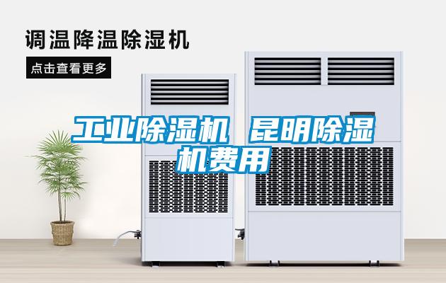 欧美成色手机在线观看 工业除湿机 昆明除湿机费用