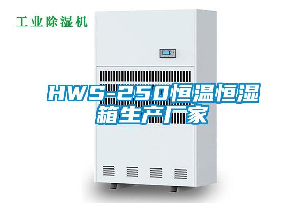 欧美黄色性爱视频网站 HWS-250恒温恒湿箱生产厂家