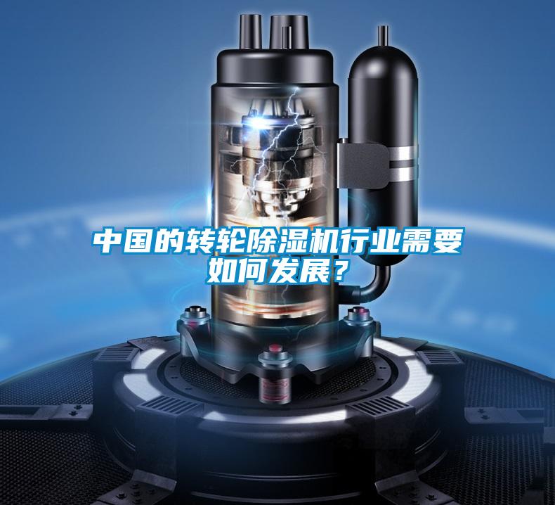 欧美黄色电影在线播放 中国的转轮除湿机行业需要如何发展？