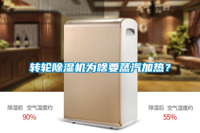 欧美黄色性爱视频网站 转轮除湿机为啥要蒸汽加热？