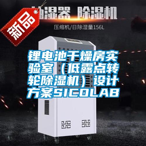 欧美黄色性爱视频网站 锂电池干燥房实验室（低露点转轮除湿机）设计方案SICOLAB