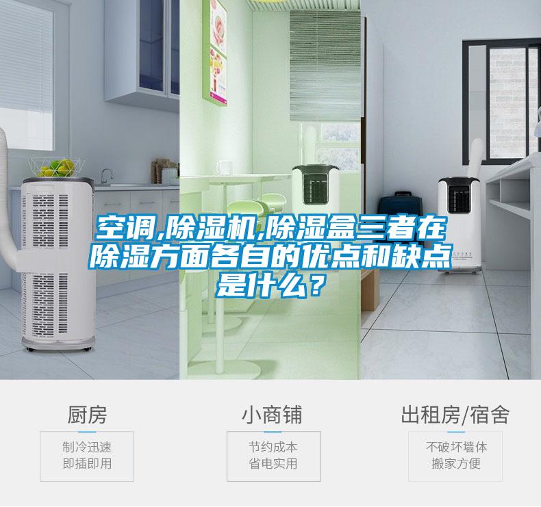 欧美黄色性爱视频网站 空调,除湿机,除湿盒三者在除湿方面各自的优点和缺点是什么？