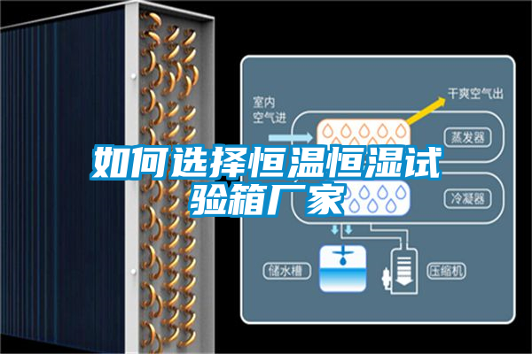 欧美成色手机在线观看 如何选择恒温恒湿试验箱厂家