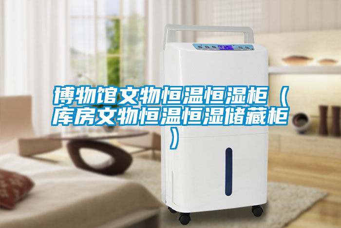 欧美黄色电影在线播放 博物馆文物恒温恒湿柜（库房文物恒温恒湿储藏柜）