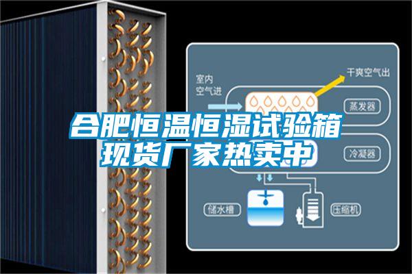欧美黄色电影在线播放 合肥恒温恒湿试验箱现货厂家热卖中