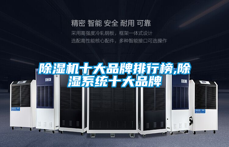 欧美黄色性爱视频网站 除湿机十大品牌排行榜,除湿系统十大品牌